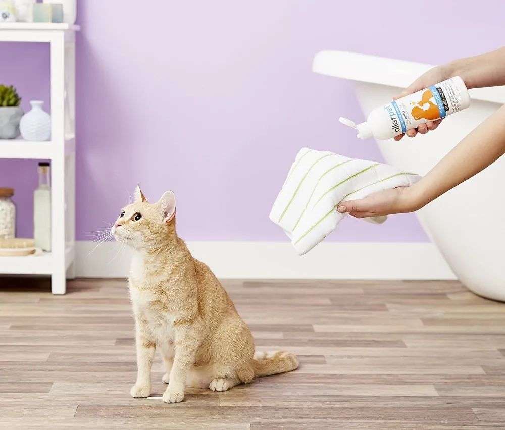 國(guó)內(nèi)外巨頭相繼入局，寵物洗護(hù)品成為新的掘金賽道？