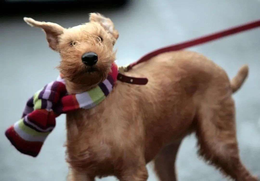 看一眼你的頭發(fā)，就知道洗發(fā)水買錯了